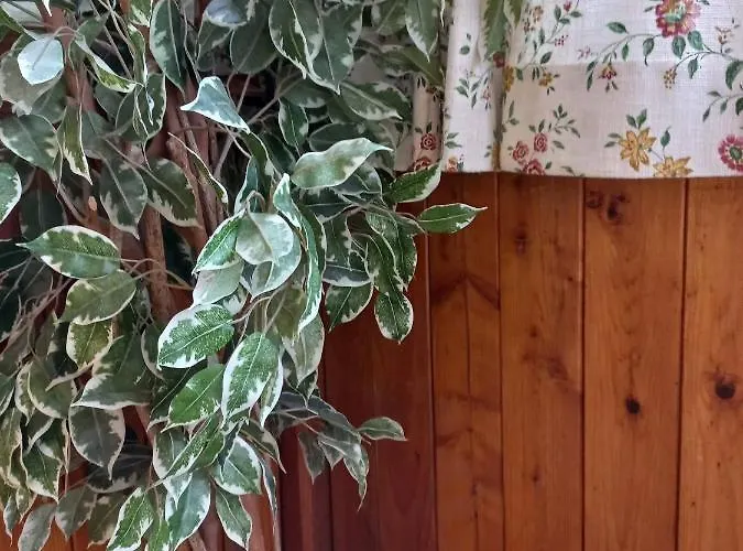 公寓 迪莱克特湖畔公寓 *