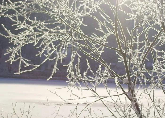 迪莱克特湖畔公寓