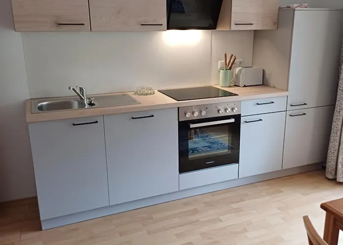 公寓 迪莱克特湖畔公寓 *