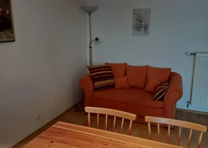 公寓 迪莱克特湖畔公寓 *