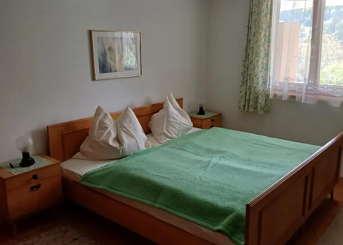 公寓 迪莱克特湖畔公寓 格伦德尔湖