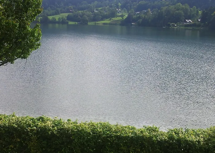 迪莱克特湖畔公寓