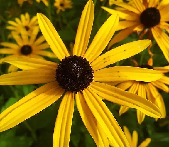 公寓 迪莱克特湖畔公寓 *