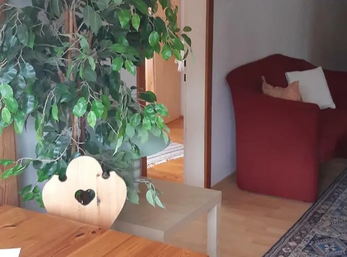 公寓 迪莱克特湖畔公寓 *