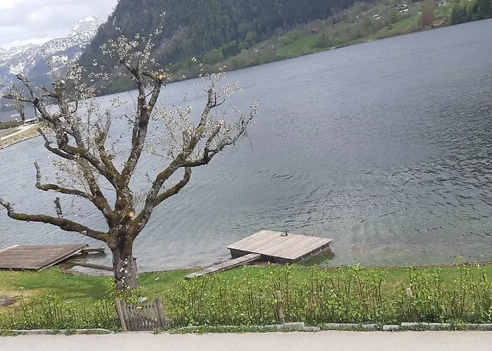 迪莱克特湖畔公寓 公寓 *